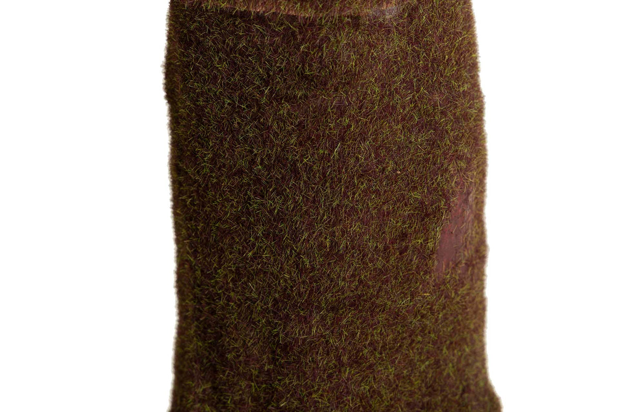 Ploocasia escuulenta 130x130x165 cm