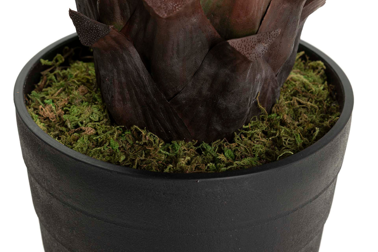 Atenuata 75x75x82 cm