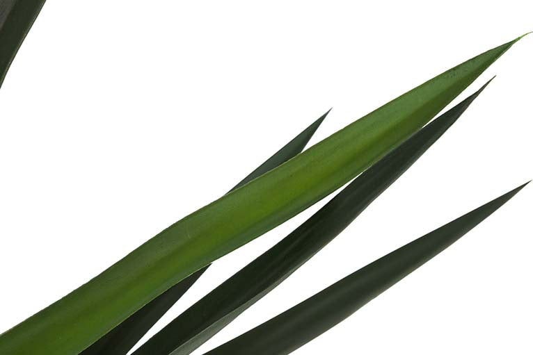 Yucca -Künstliche Pflanze mit 70 x 70 x 70 cm Topf