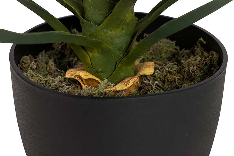 Yucca -Künstliche Pflanze mit 70 x 70 x 70 cm Topf