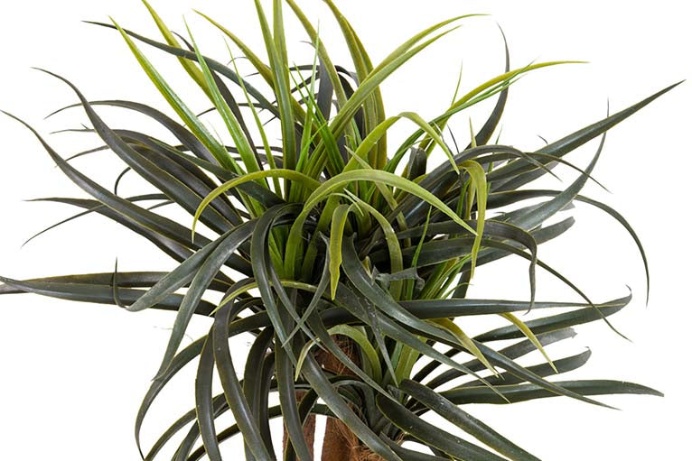 Yucca Künstliche Pflanze mit 58x58x58 cm