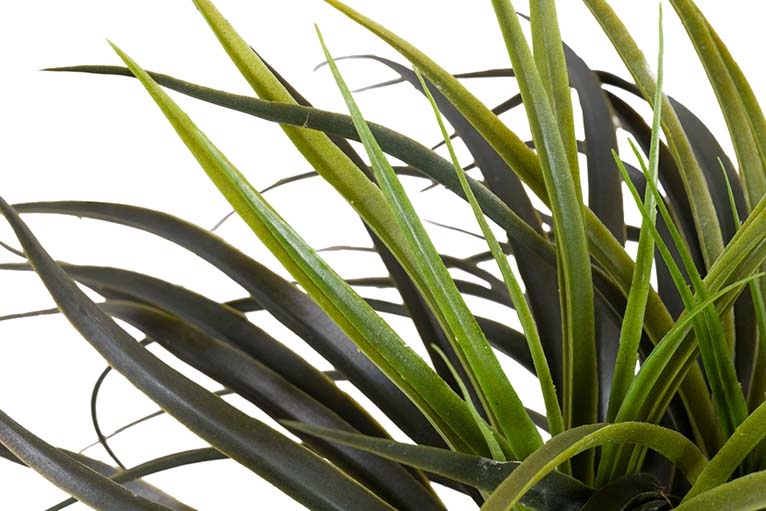 Yucca Künstliche Pflanze mit 58x58x58 cm