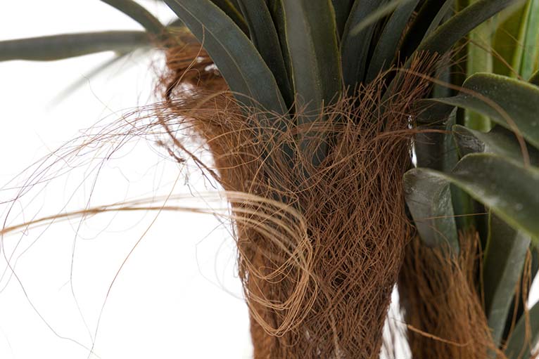 Yucca Künstliche Pflanze mit 58x58x58 cm