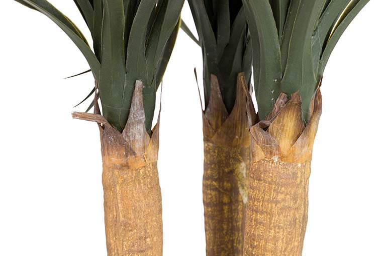 Plante artificielle Nolina recurvata avec 60x60x75 cm pot