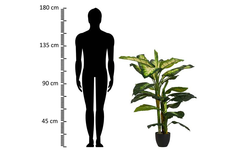 Dieffenbachia Planta pontilhada com maconha 55x55x130cm