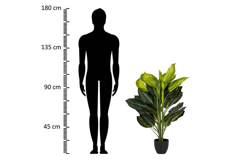Planta Dieffenbachia com 65x65x113 cm