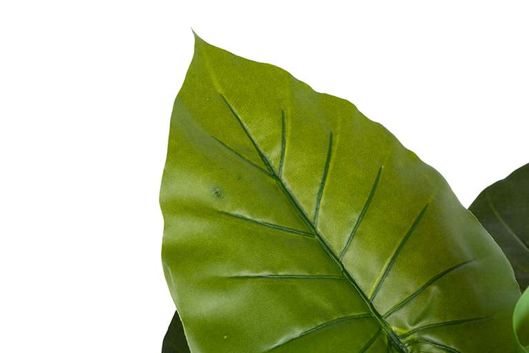 Künstliche Pflanzen -Taro mit 80x80x133 cm Topf