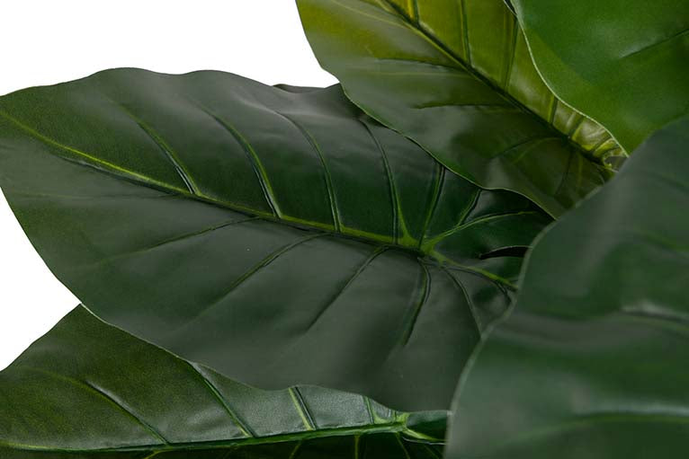 Künstliche Pflanzen -Taro mit 80x80x133 cm Topf