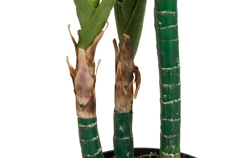 Künstliche Pflanzen -Taro mit 80x80x133 cm Topf