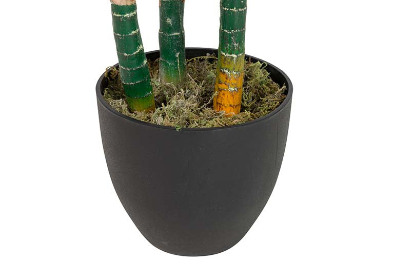 Künstliche Pflanzen -Taro mit 80x80x133 cm Topf