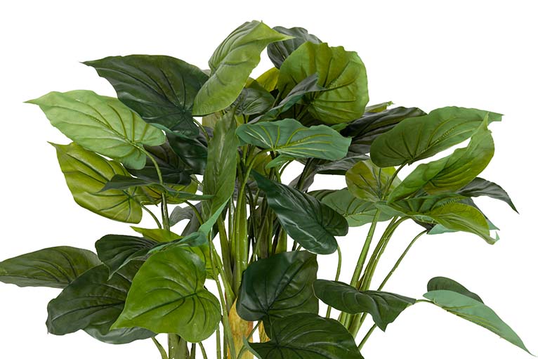 Taro Künstliche Pflanze mit 55 x 55 x 125 cm Topf