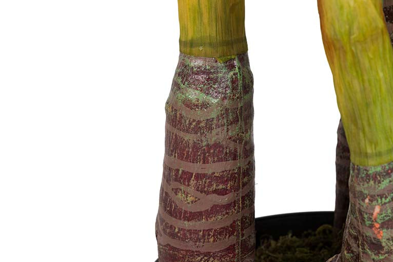 Taro Künstliche Pflanze mit 55 x 55 x 125 cm Topf