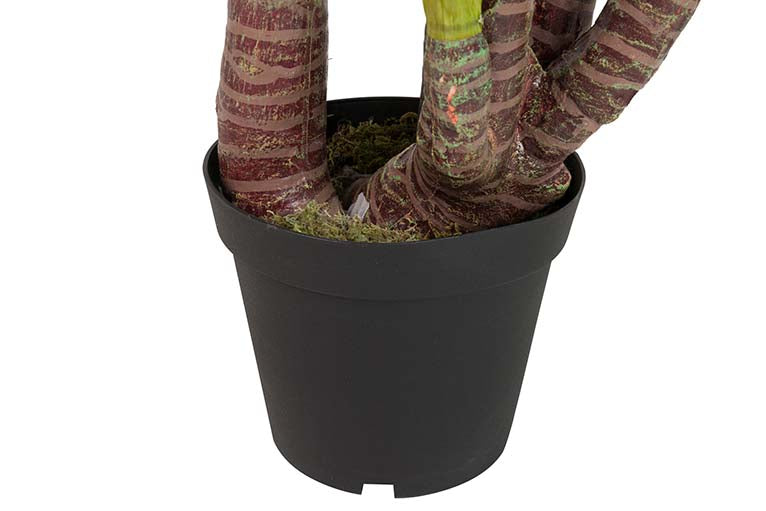 Taro Künstliche Pflanze mit 55 x 55 x 125 cm Topf