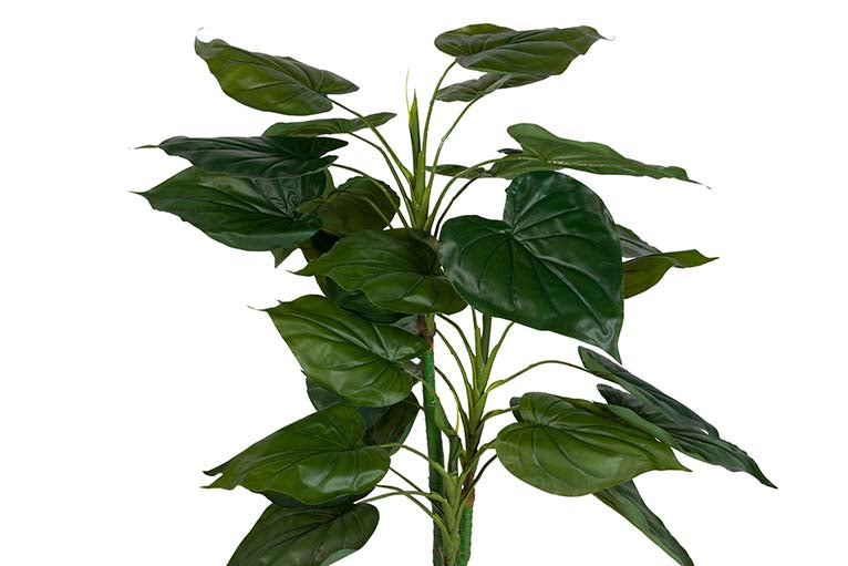 Künstliche Pflanzen -Taro mit Topf 65x65x120 cm