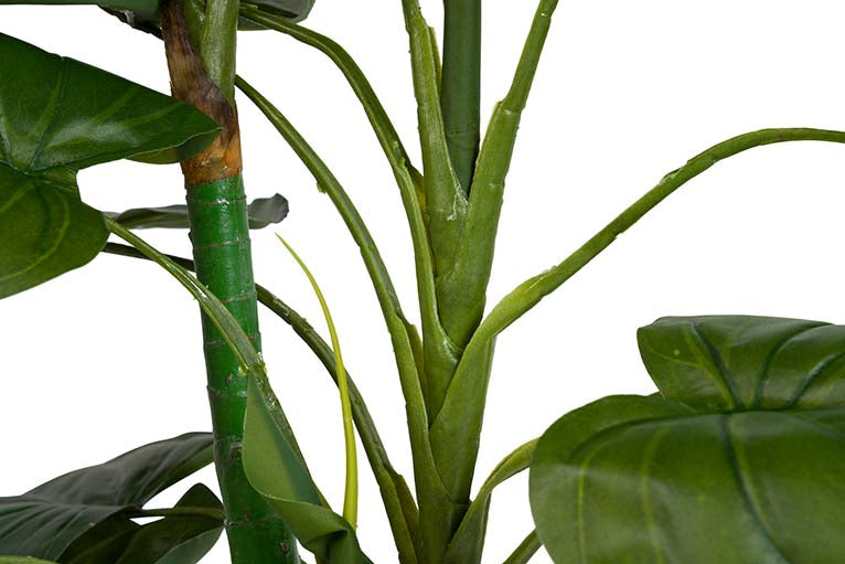 Künstliche Pflanzen -Taro mit Topf 65x65x120 cm