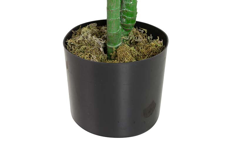 Künstliche Pflanzen -Taro mit Topf 65x65x120 cm