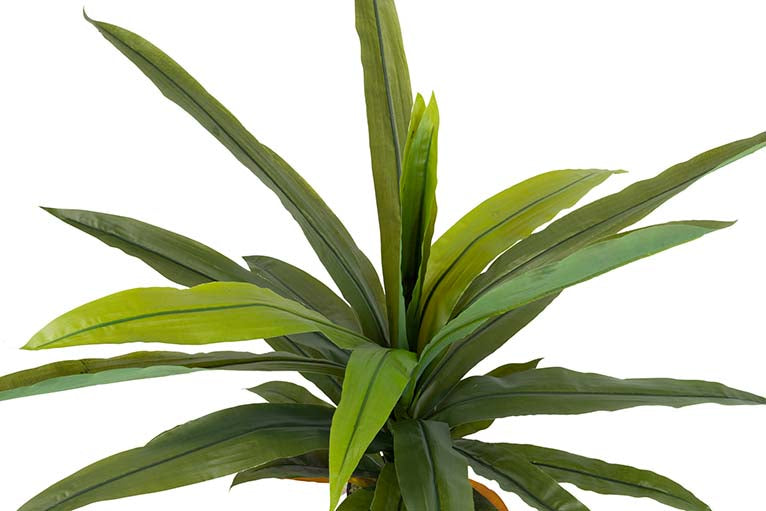 Dracaena Fragrans Plant com pote 130x40x21 cm