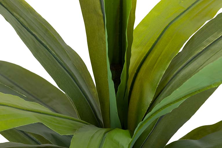 Dracaena Fragrans Plant com pote 130x40x21 cm