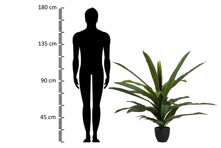 Dracaena Fragrans Plant com pote 130x40x21 cm