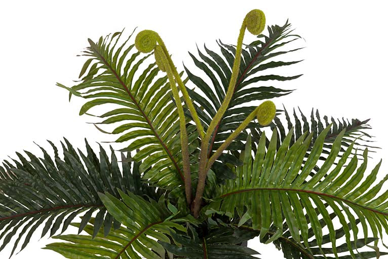 Planta Palmera com pote de 40x40x55