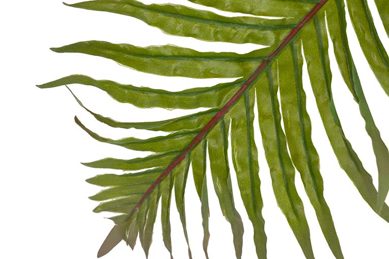 Planta Palmera com pote de 40x40x55