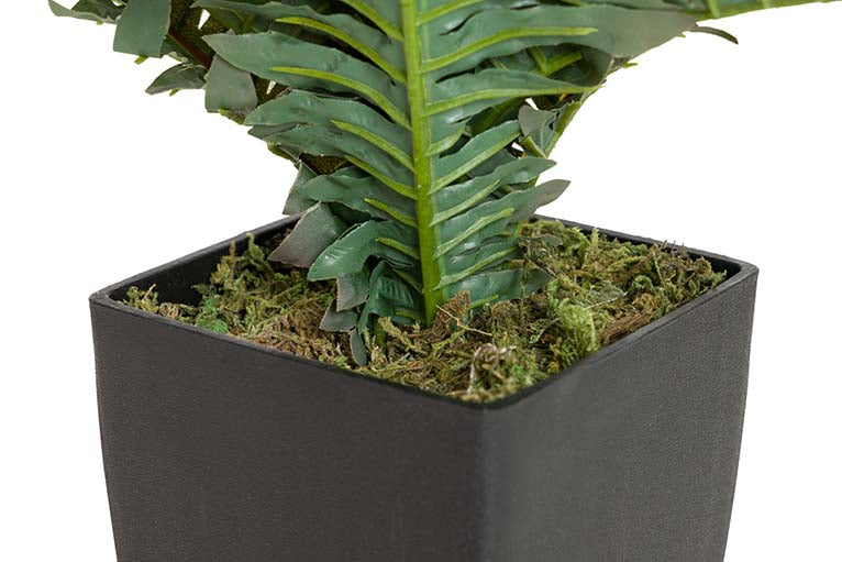 Planta Palmera com pote de 40x40x55