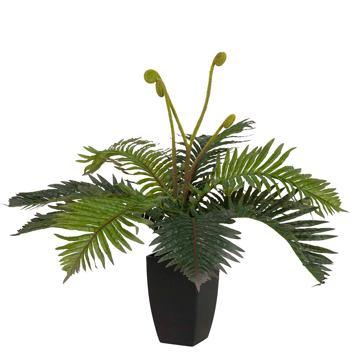 Planta Palmera com pote de 40x40x55