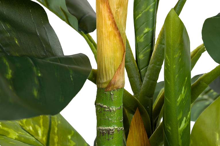 PLANTA ARTIFICIAL DIEFFENBACHIA AMOENA CON MACETA 65x65x135 CM
