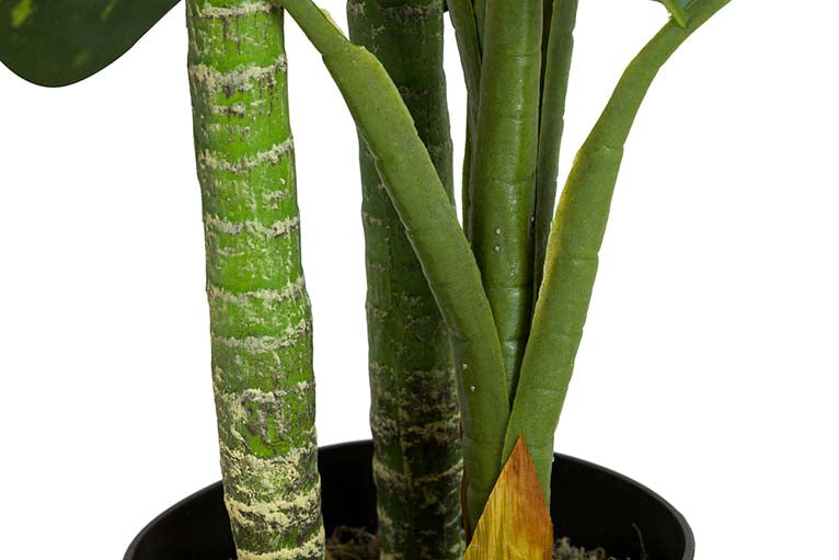PLANTA ARTIFICIAL DIEFFENBACHIA AMOENA CON MACETA 65x65x135 CM