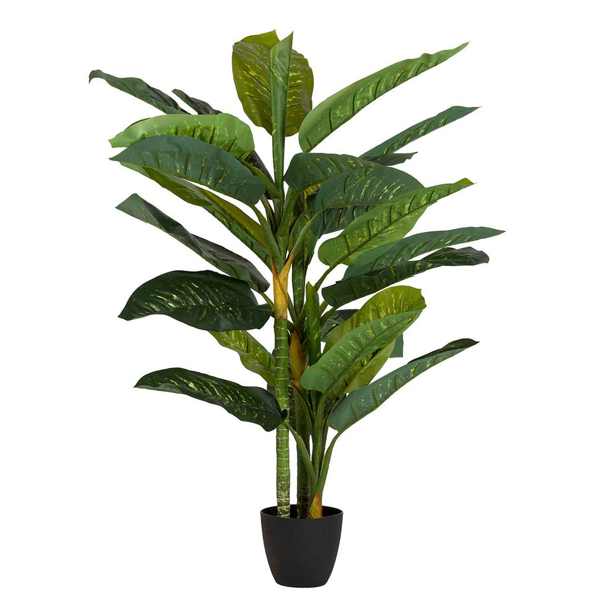 PLANTA ARTIFICIAL DIEFFENBACHIA AMOENA CON MACETA 65x65x135 CM