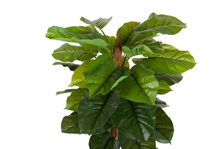 Künstliche Pflanze Rhadhidophora aureum 65x65x140 cm