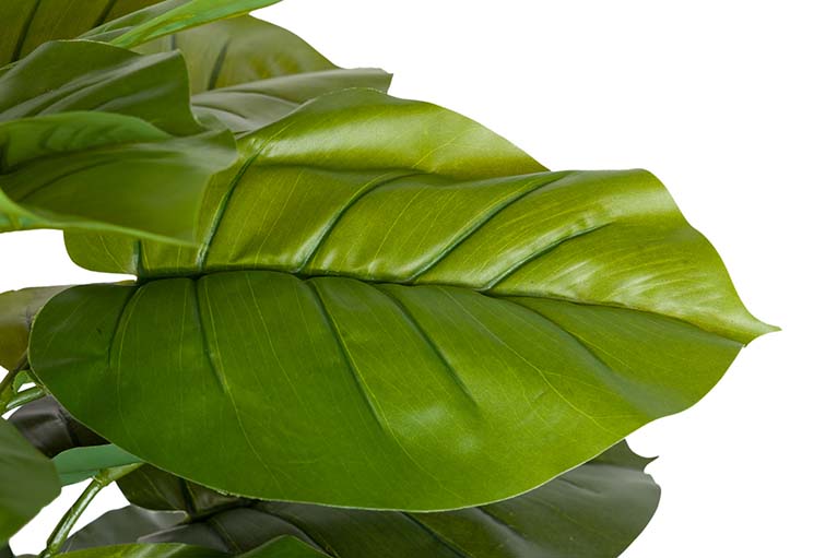 Künstliche Pflanze Rhadhidophora aureum 65x65x140 cm