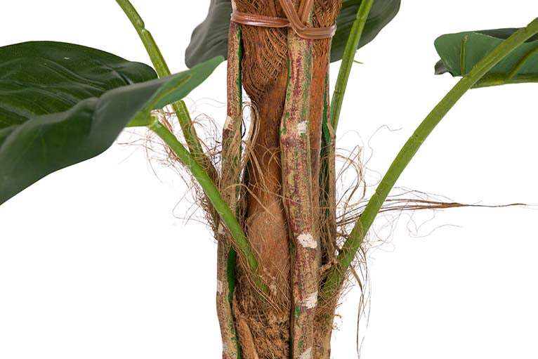 Künstliche Pflanze Rhadhidophora aureum 65x65x140 cm