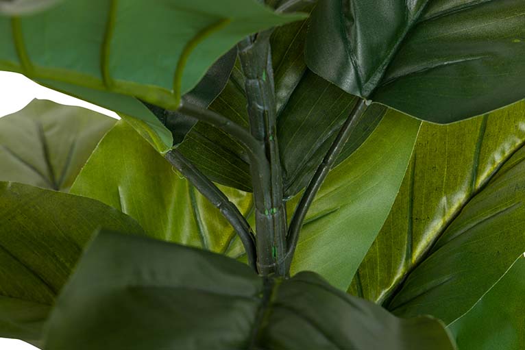 Planta aureum com pote de 65x65x88