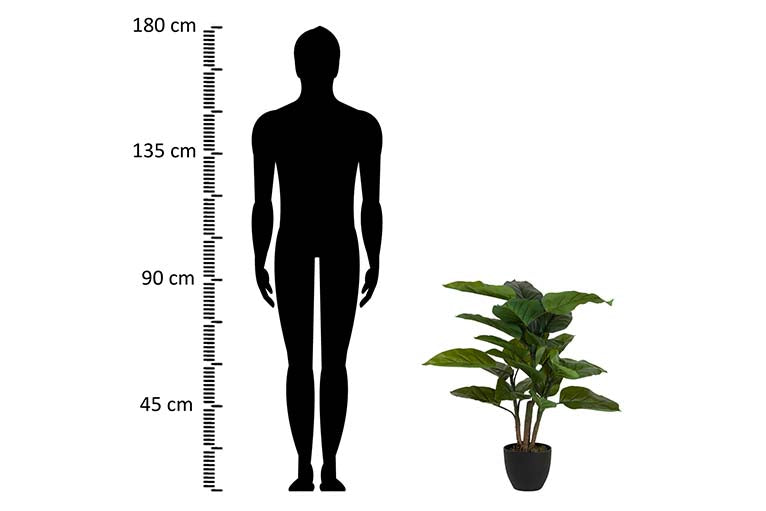 Planta aureum com pote de 65x65x88