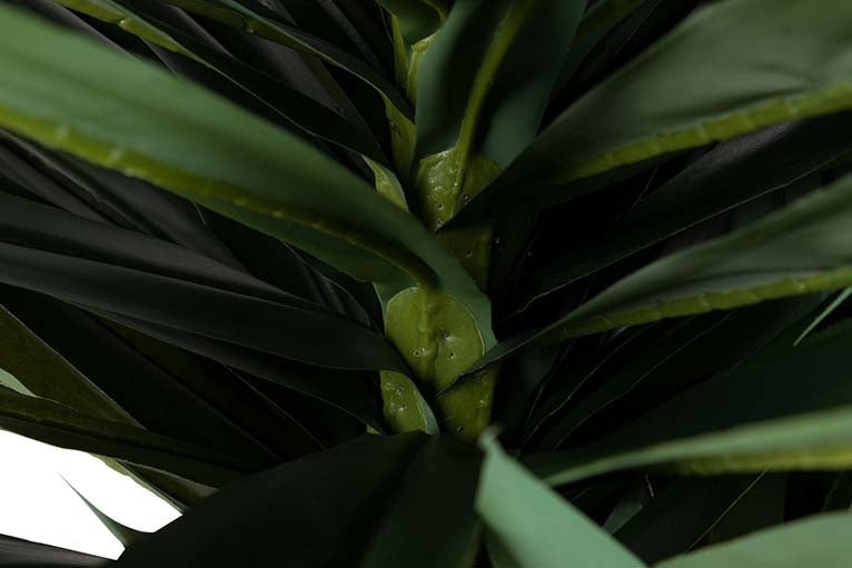 Herrische Yucca -Künstliche Pflanze mit 55 x 55 x 145 cm Topf