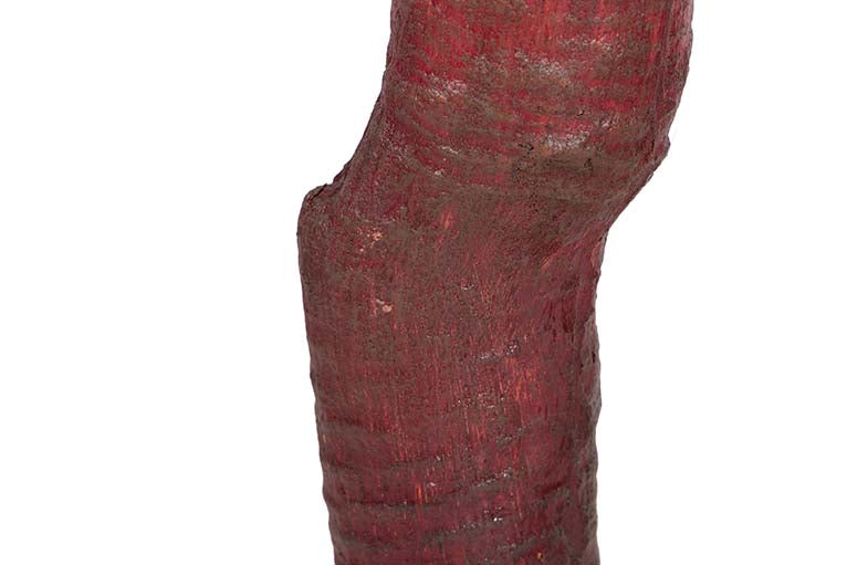 Herrische Yucca -Künstliche Pflanze mit 55 x 55 x 145 cm Topf