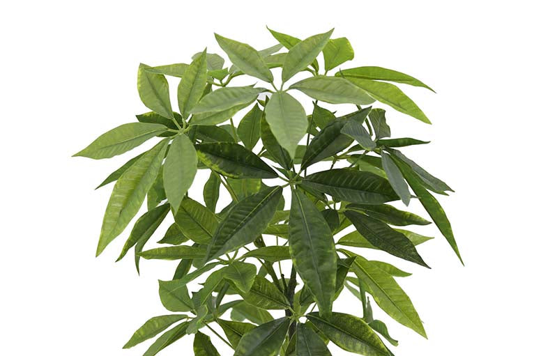 Plante artificielle d'argent avec un pot de 45x45x85 cm