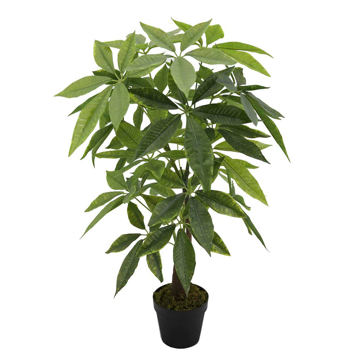 Plante artificielle d'argent avec un pot de 45x45x85 cm
