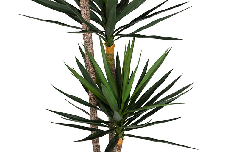 Yucca -Künstliche Pflanze mit 70x70x250 cm Topf
