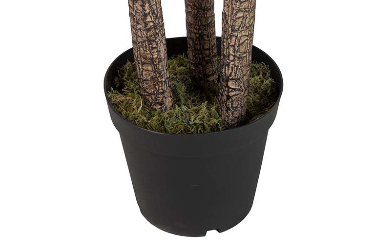 Yucca -Künstliche Pflanze mit 70x70x250 cm Topf