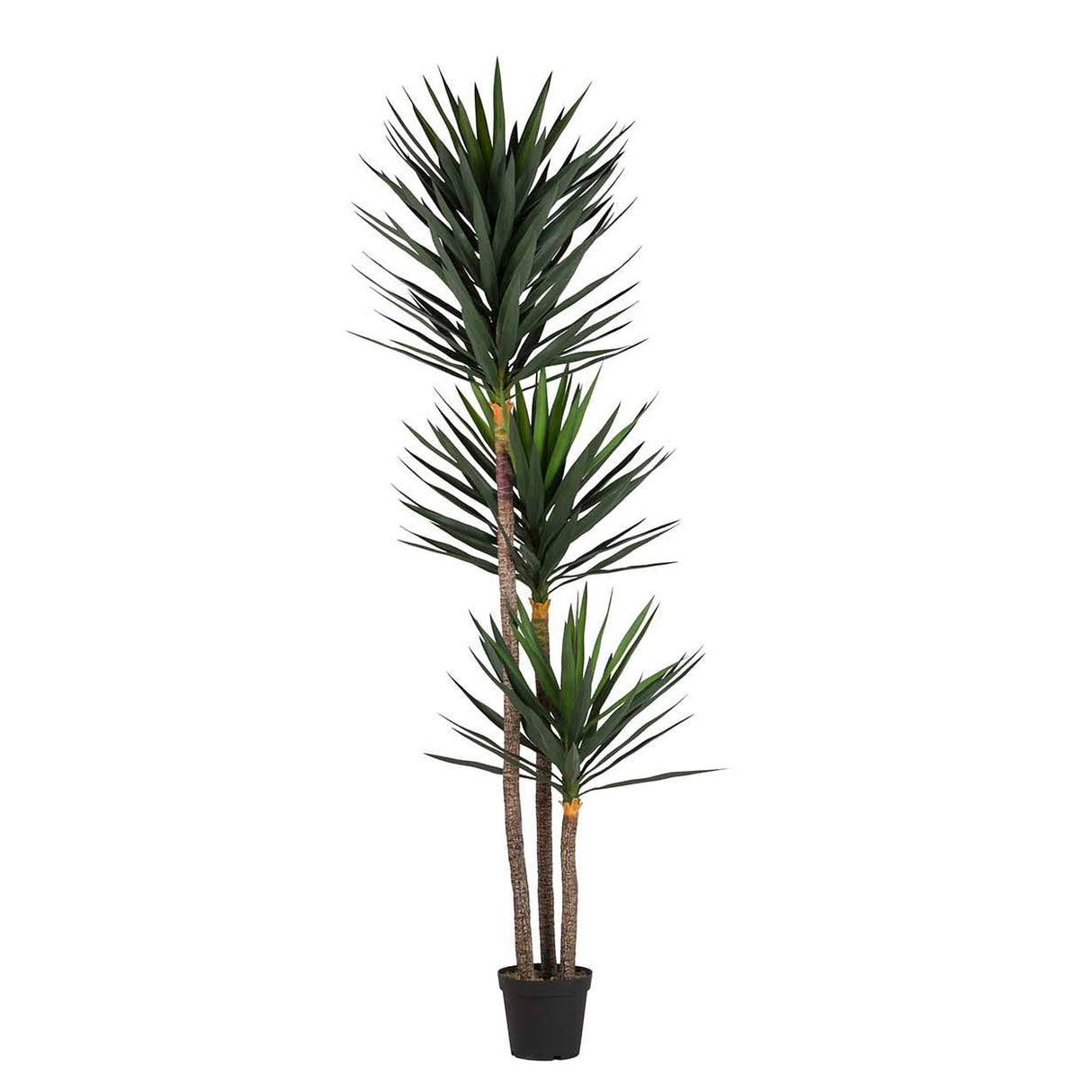 Yucca -Künstliche Pflanze mit 70x70x250 cm Topf
