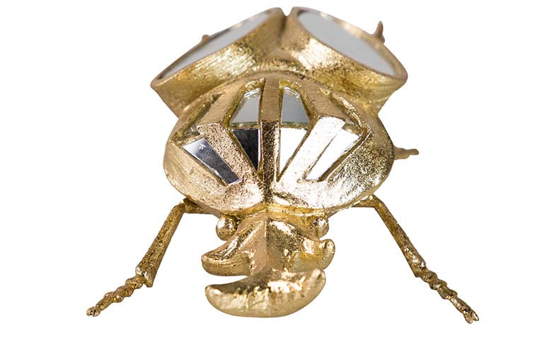 Miroir de résine de coléoptère 19x12x7 cm