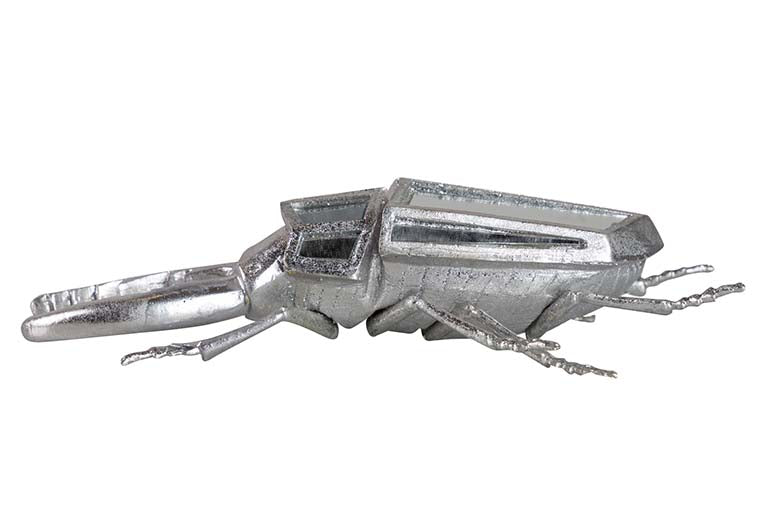 Miroir de résine de coléoptère 21x12x7 cm