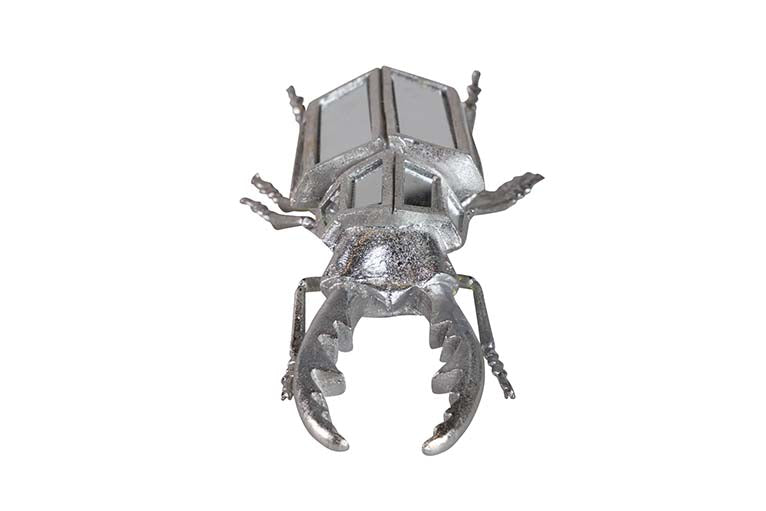 Miroir de résine de coléoptère 21x12x7 cm