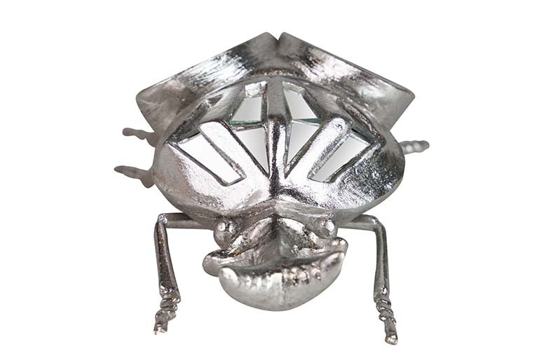 Miroir de résine de coléoptère 19x12x7 cm