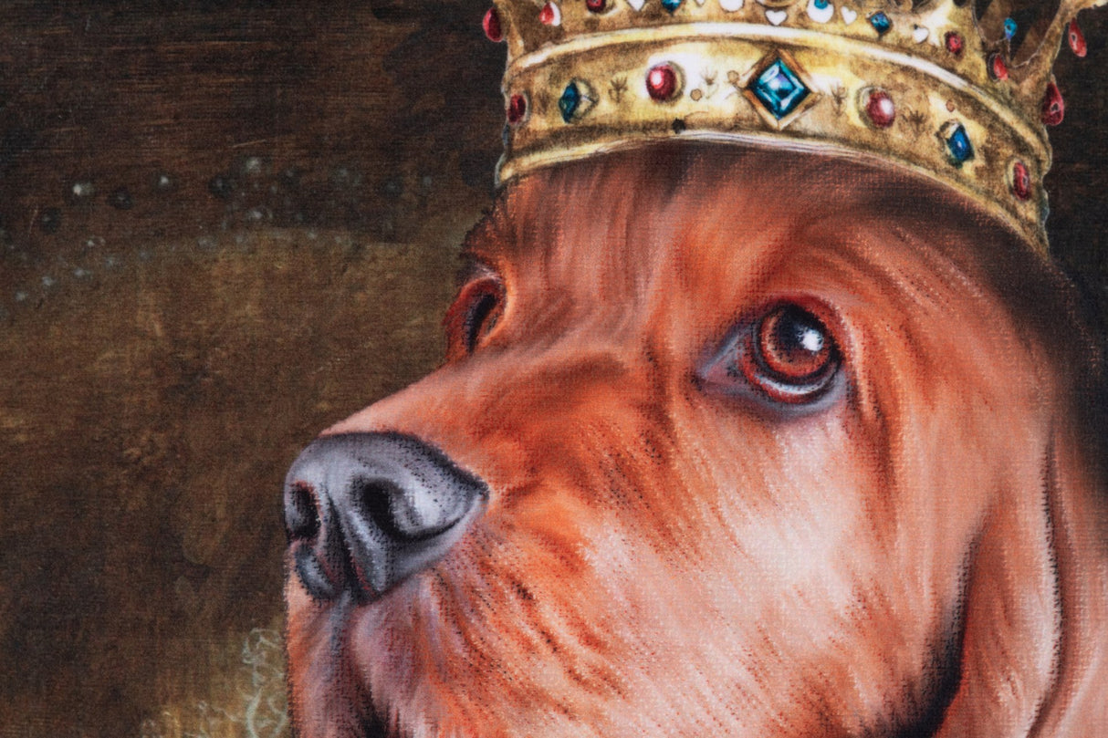 COJIN VELVET COCKER GEOMETRICO 45x13x45 CM