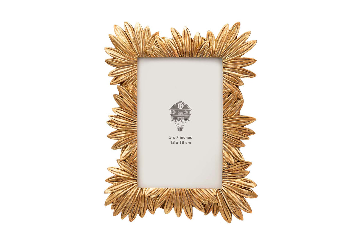 Dorado Harzpors 13x18 cm