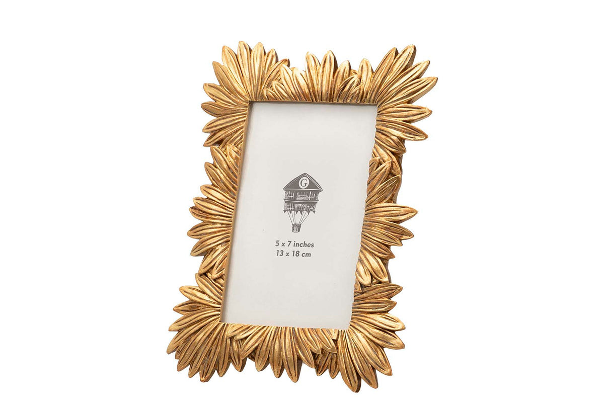 Dorado Harzpors 13x18 cm