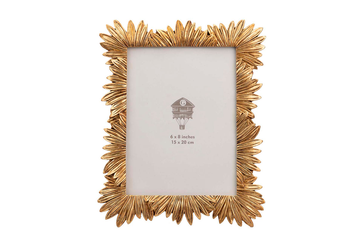 Dorado Harzpors 15x20 cm